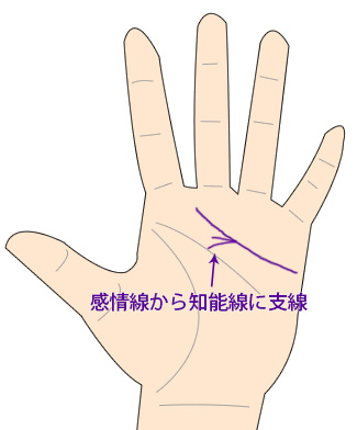不倫手相占い 本気線