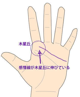 不倫手相占い 木星丘