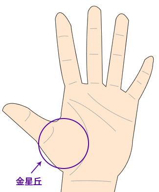 不倫手相占い金星丘