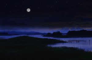 【完全無料】職場で出会った不倫の結末をタロットで占う