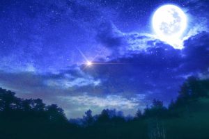 不倫相手のあの人にとってただの浮気？離婚を考えてる？無料生年月日占い